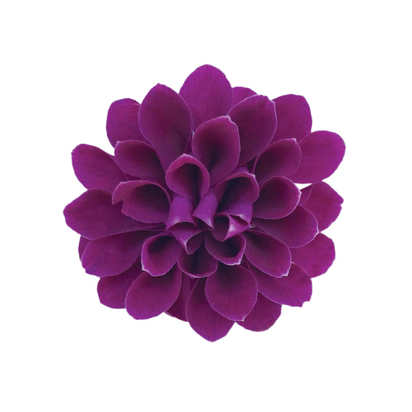 Purple orchid petals sewn together to form a single flower, displayed on a white background.