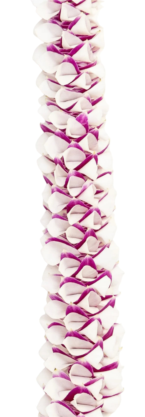 Close-up of a premium orchid lei featuring white and pink petals layered to create a textured, detailed, and dimensional pattern.