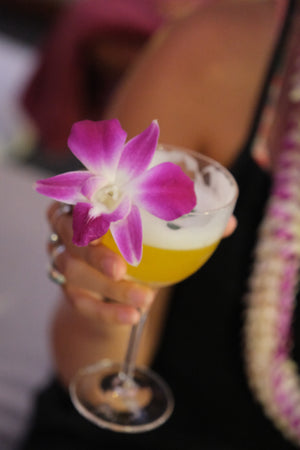A purple orchid blossom adorning the rim of a cocktail glass held by a person, highlighting the vibrant flower against the drink.