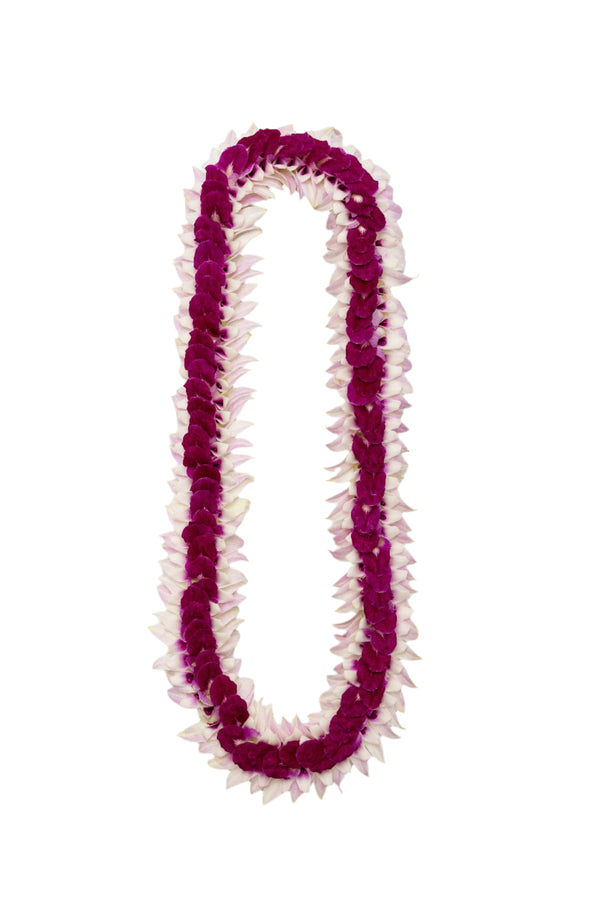 A flat deluxe orchid lei featuring pastel pink flared edges and a dark purple center, laid out on a white background.