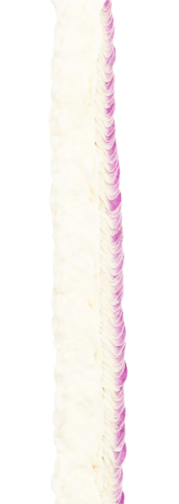 Close-up of the white side of the Hana Bom/White lei, showing densely layered white orchid petals with delicate texture and subtle transition to purple half.