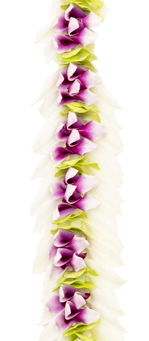 Close-up of a colorful lei showing purple and green orchid accents, with white petals dramatically flaring around the edges for a bold, layered look.