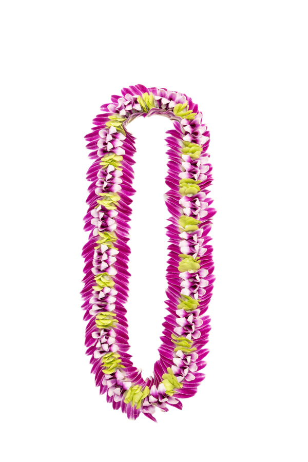 Vibrant lei featuring purple and white orchid petals with green accents, feathering out along the edges and forming a blossom-like center.