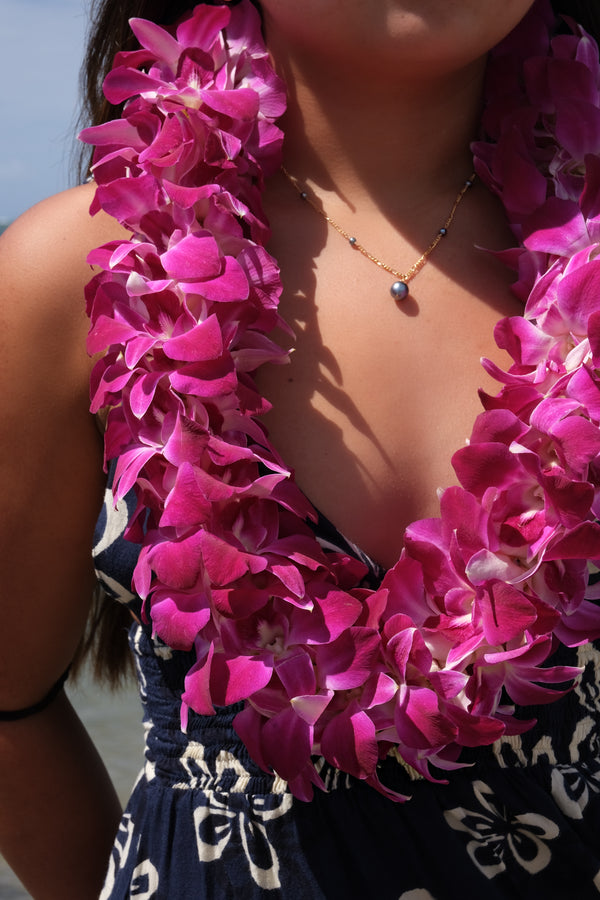 Hoʻomaikaʻi (Congratulations) Collection