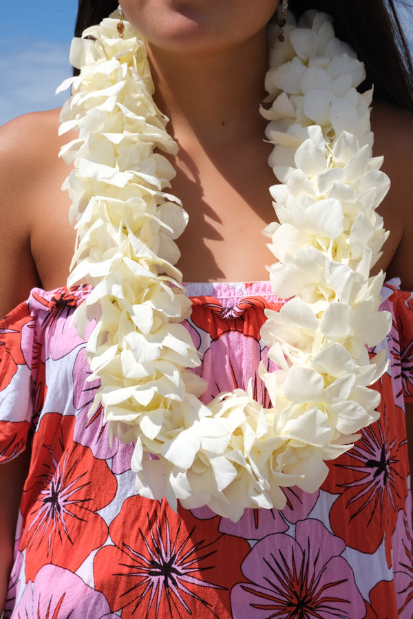 Hoʻomaikaʻi (Congratulations) Collection