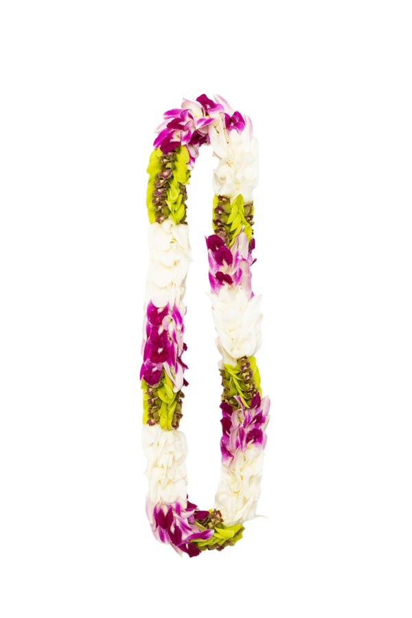 Round premium lei made of alternating sections of purple, white, and jade orchids.