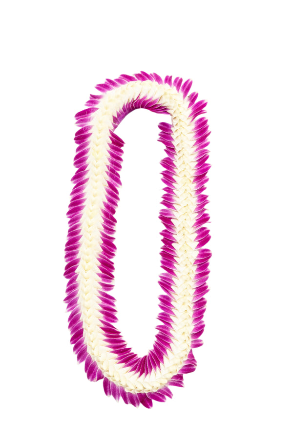 Deluxe orchid lei with feather-like edges made from purple orchids and a braided-looking center crafted from white orchids, displayed on a white background.