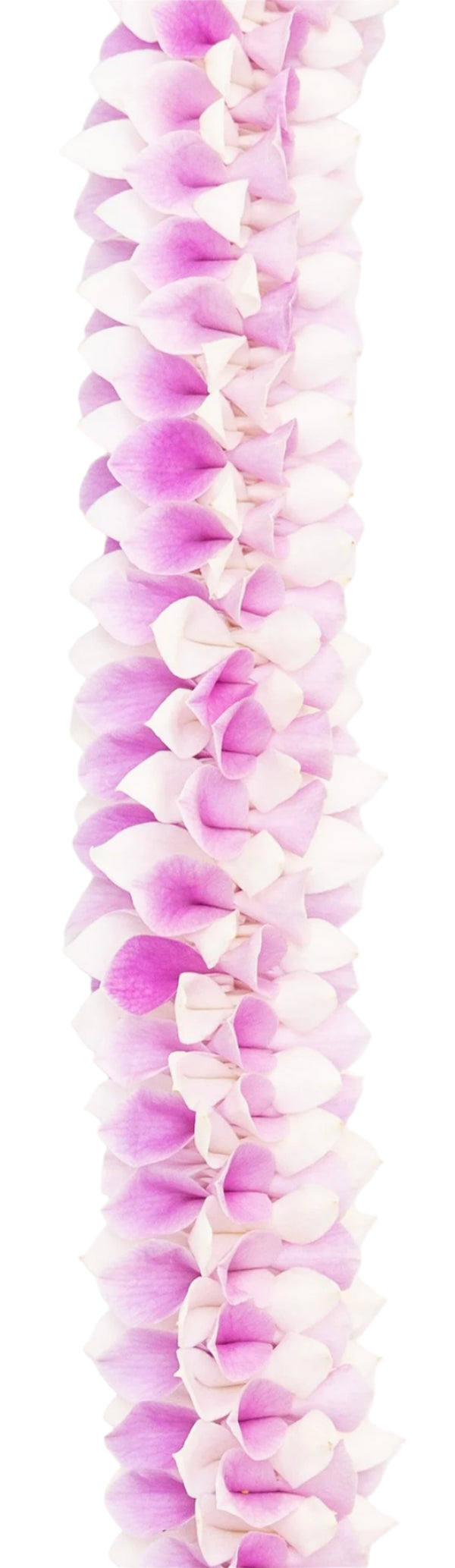 Close-up of Noe lei showing soft pink and creamy white orchid petals arranged delicately, highlighting their light texture and gentle color gradients.