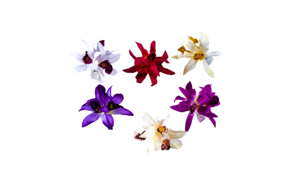 Collection of colorful silk orchid hair clips displayed on a white background.