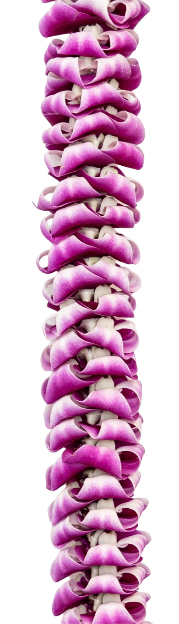 Close-up of the Paluna Bom premium purple orchid lei showing the intricate shaping and layering of each petal, highlighting the vibrant color and delicate texture.