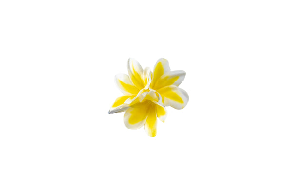 Single silk plumeria flower hair clip with yellow petals and a white center.