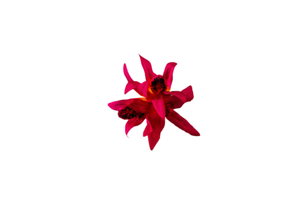 Hair clip featuring three faux red pink orchids.