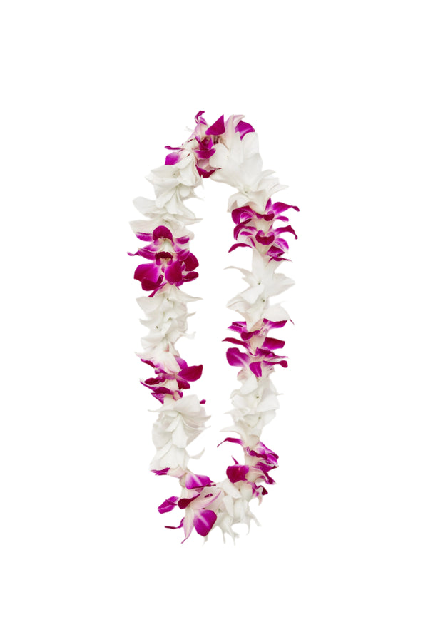 Classic single-strand lei made of alternating white and purple orchids.