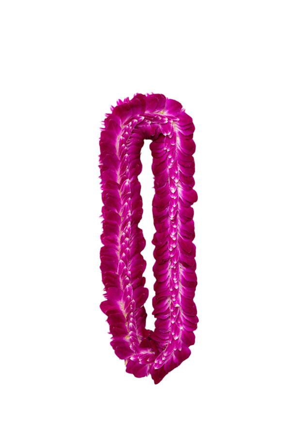 A flat and full lei made of layered purple orchid petals, creating a lush and vibrant look ideal for graduations.