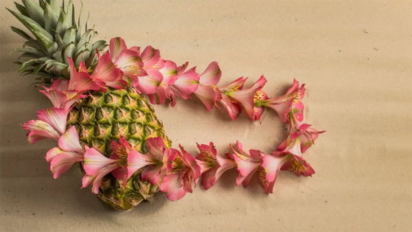 The Ultimate Fresh Orchid Lei Care Guide: Essential Day-by-Day Tips for Maximizing Longevity and Keeping Your Orchid Lei Looking Fresh