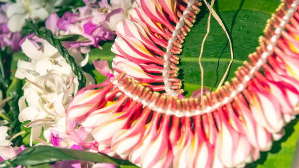 Fresh Orchid vs. Silk Leis: How Material Shapes Beauty, Use, and Care