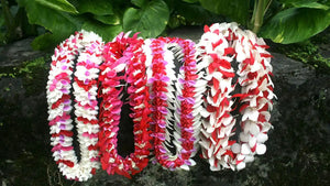 National Shipping for Fresh Leis Explained: Comprehensive Guide to Fresh Lei Delivery and Orchid Lei Shipping Cost