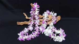When to Order Lei: Lead Time Planner