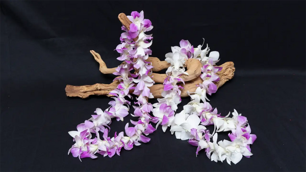 When to Order Lei: Lead Time Planner