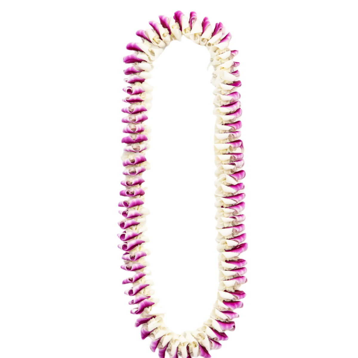 Alana| Round Deluxe Orchid Lei | Hawaii Leis – The Orchid Lei Company