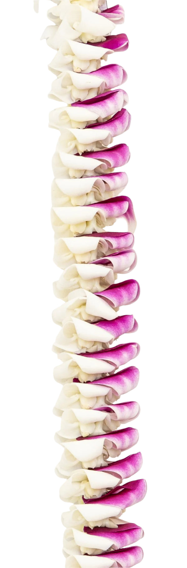 Close-up of a lei with alternating purple and white orchid petals, folded into a textured, layered pattern that gives the appearance of being half white and half purple.