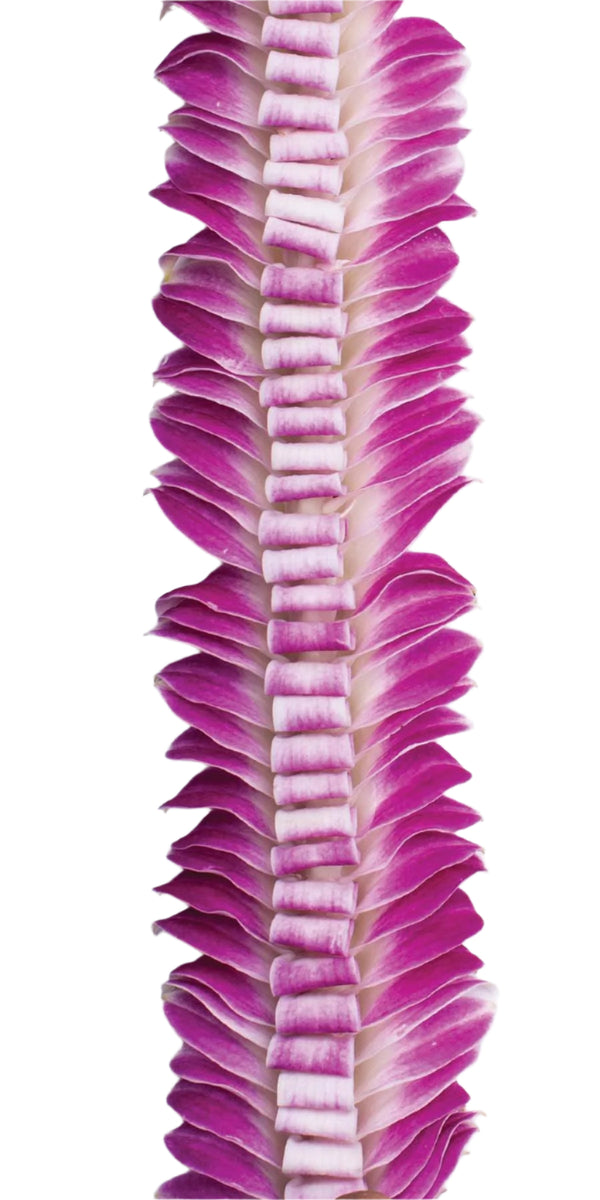 Close-up of the purple butterfly lei showing intricate loops in the center and flared purple orchid petals along the edges.