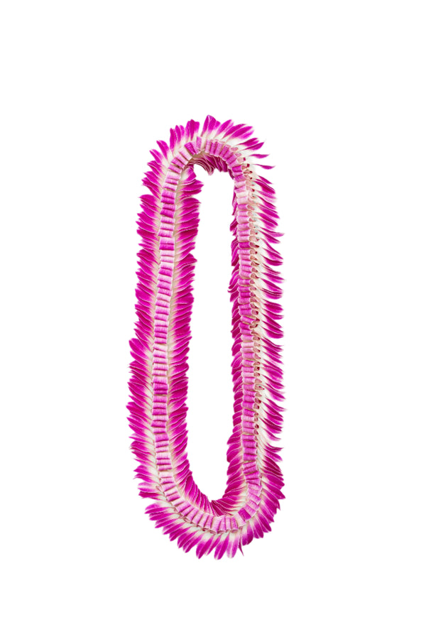 A purple flat deluxe lei with loops in the middle and flared edges, known as the butterfly lei, displayed against a white background.