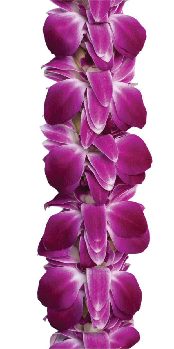 Close-up of a flat lei featuring layers of soft purple orchid petals, highlighting the fluffy, plush texture and rich coloration of the blossoms.