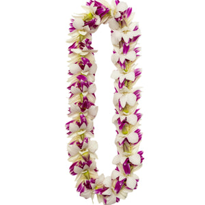 A flat lei made of white and purple orchid blossoms with green orchid buds, arranged in a layered design for a full and lush appearance, displayed on a white background.