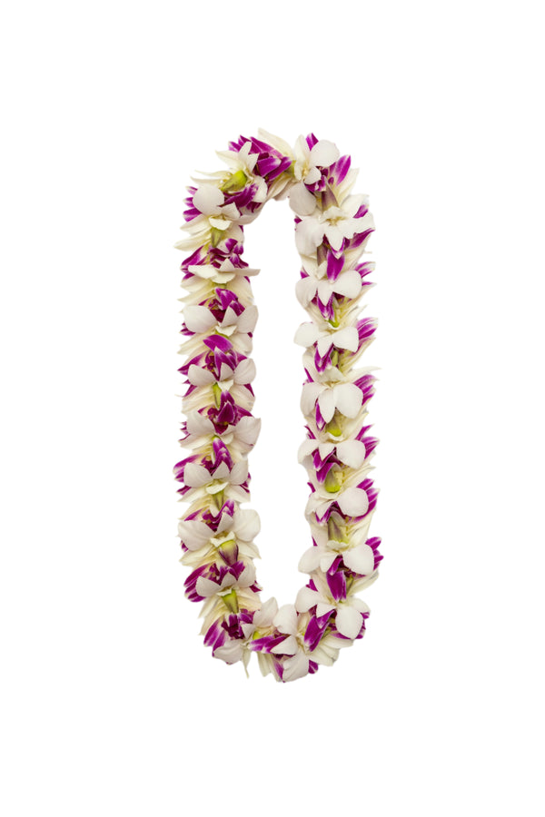 A flat lei made of white and purple orchid blossoms with green orchid buds, arranged in a layered design for a full and lush appearance, displayed on a white background.