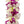 Close-up of the flat lei showing detailed layering of white and purple orchid petals interspersed with green orchid buds for a vibrant, dimensional effect.