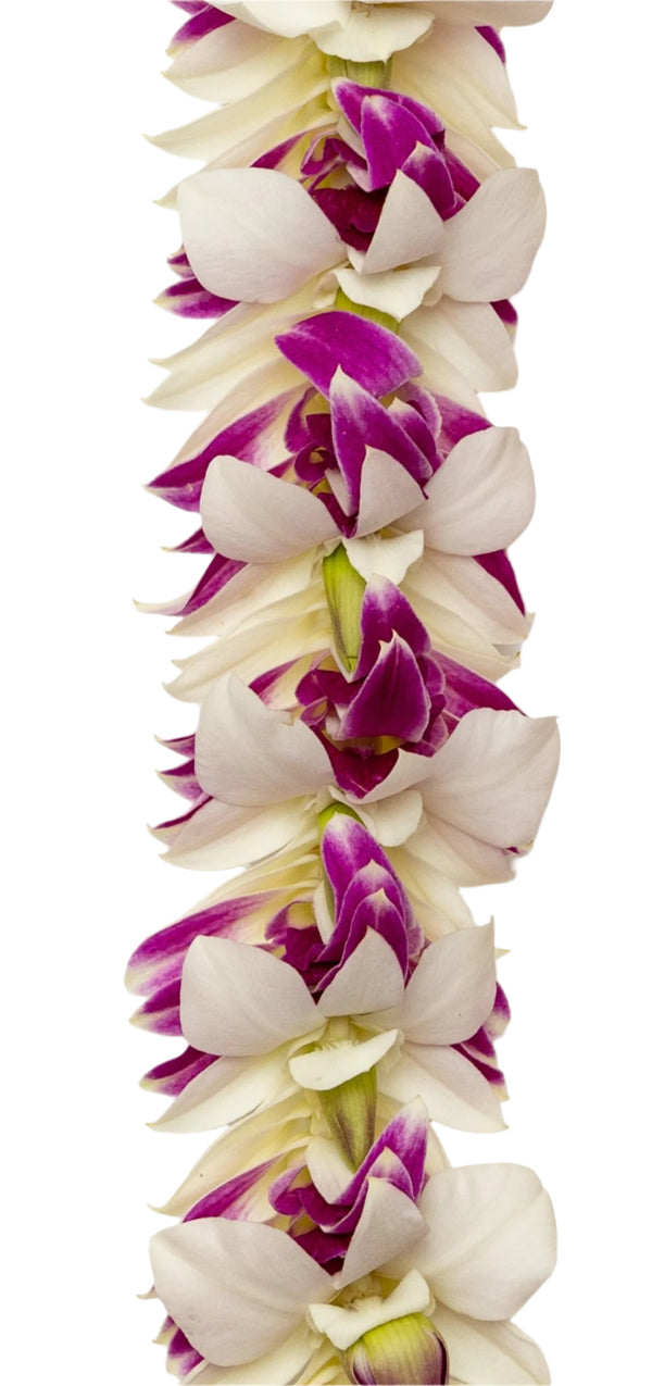 Close-up of the flat lei showing detailed layering of white and purple orchid petals interspersed with green orchid buds for a vibrant, dimensional effect.
