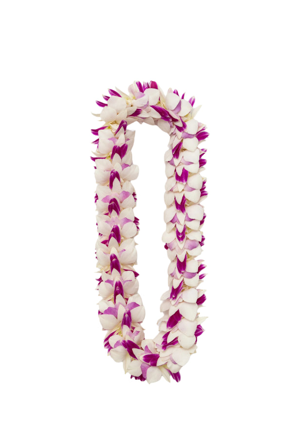 A lei made of white, pink, and purple orchid blossoms arranged in a full, layered style, creating a lush and colorful floral design.