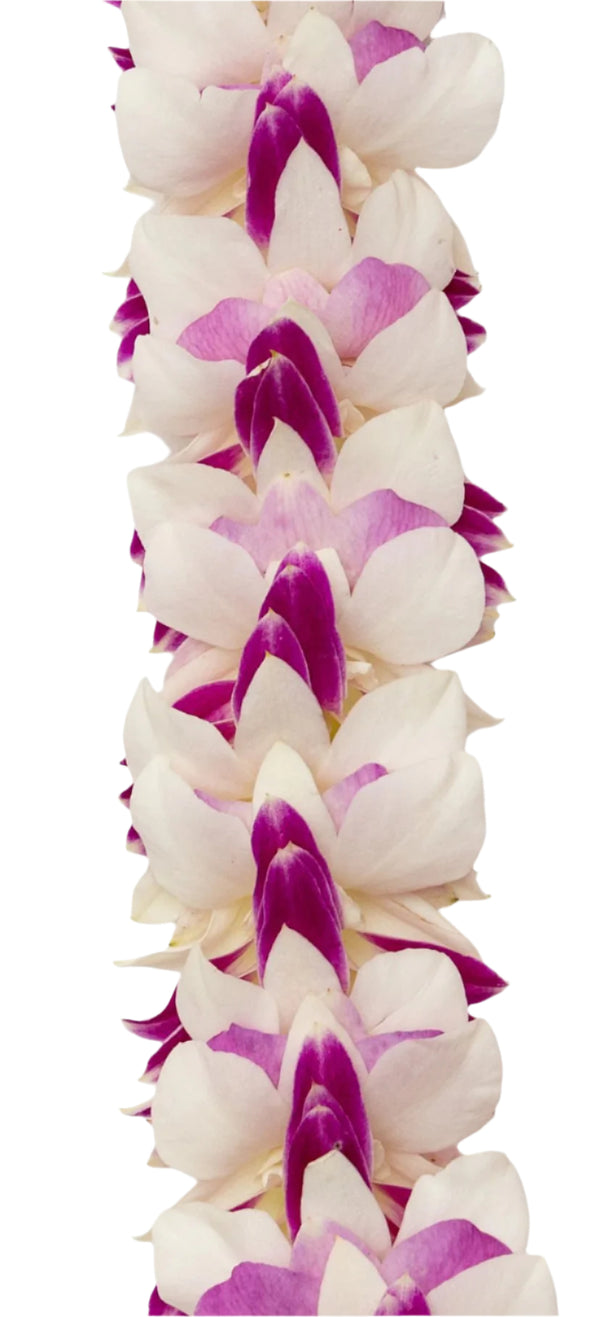 Close-up of the layered lei featuring white, pink, and purple orchids, highlighting the soft blending of colors and the overlapping petals that create a rich, textured appearance.