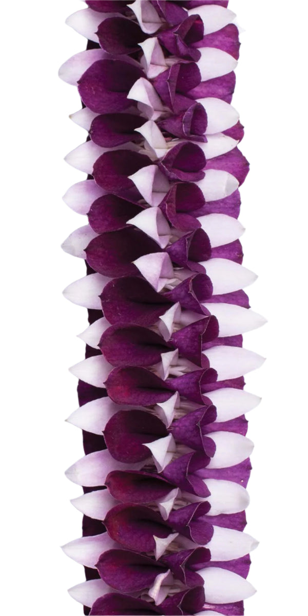 Close-up of a lei featuring dark purple and white orchid petals intricately arranged in a spiral-like pattern, highlighting the color contrast and texture.