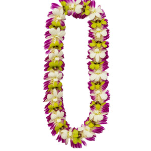 A lei made of orchids with purple petals on the edges and alternating jade green and white petals in the inner sections, displayed against a white background.