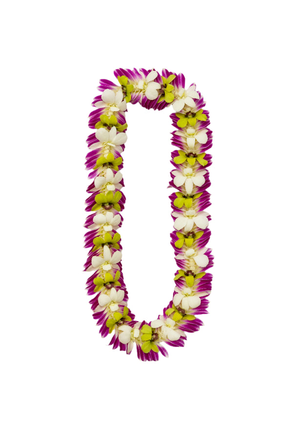 A lei made of orchids with purple petals on the edges and alternating jade green and white petals in the inner sections, displayed against a white background.