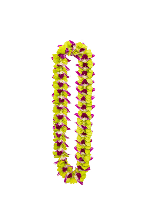 A lei made of vibrant jade green and purple orchid petals arranged in a layered pattern, with the deep purple hues peeking through both the center and edges for a striking contrast.