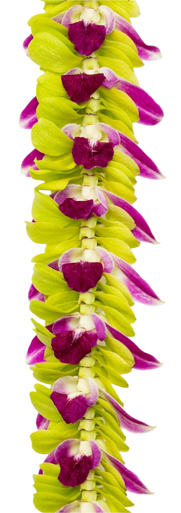 Close-up of the jade green and purple orchid lei, showing detailed layers where the purple petals subtly emerge from the middle and outer edges, creating a dimensional, eye-catching design.