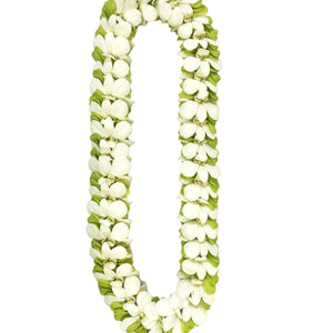 A floral lei made of overlapped white and green orchid petals, arranged in a layered pattern and displayed against a white background.