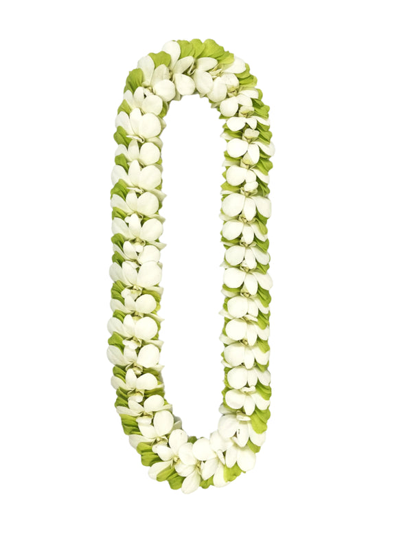 A floral lei made of overlapped white and green orchid petals, arranged in a layered pattern and displayed against a white background.