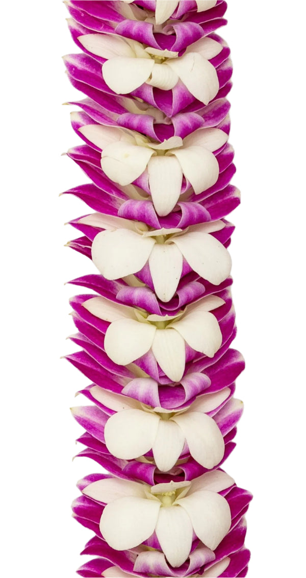 Close-up of a flat deluxe orchid lei highlighting the folded and layered purple and white petals, creating a detailed and textured floral pattern.