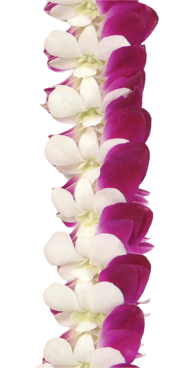 Close-up of a flat deluxe orchid lei showing the overlapping arrangement of purple and white petals, emphasizing the layered structure and contrast in color.