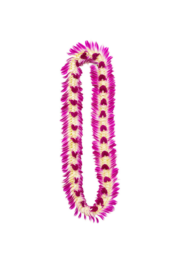A flat deluxe orchid lei made with rich purple orchid blossoms, designed with petals peeking out in the middle and flaring outward at the edges, displayed on a white background.