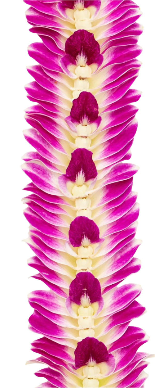 Close-up of a flat deluxe orchid lei showing the detailed arrangement of purple orchid petals peeking through the center and flaring at the edges for a full, layered look.