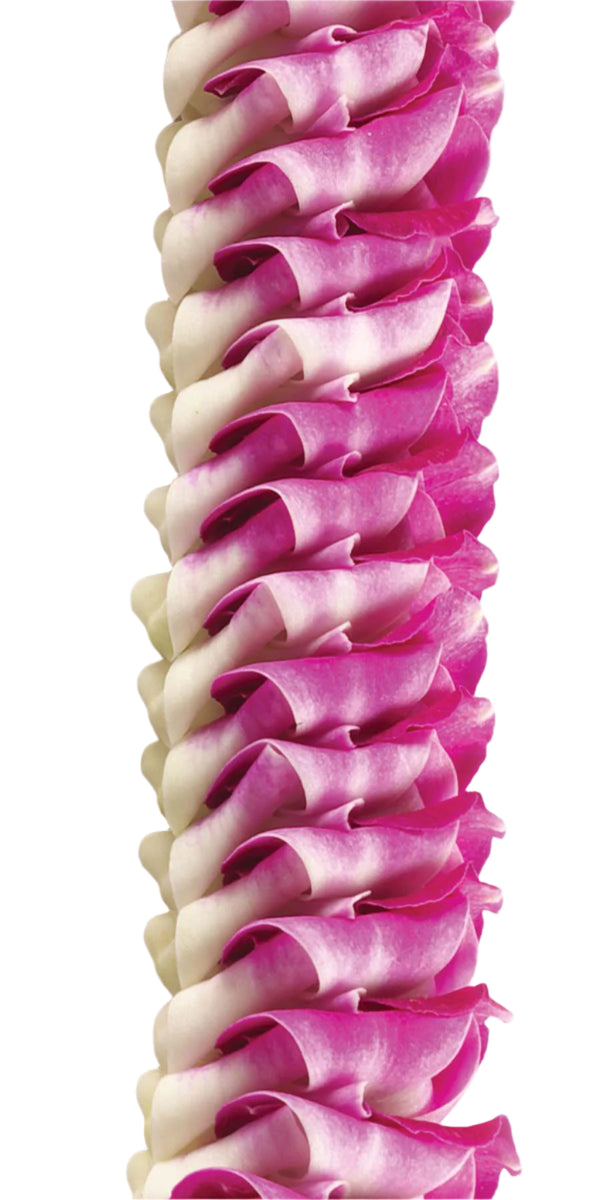 Close-up of a purple round lei showcasing the intricate folds of orchid blossoms creating a textured and dimensional floral design.