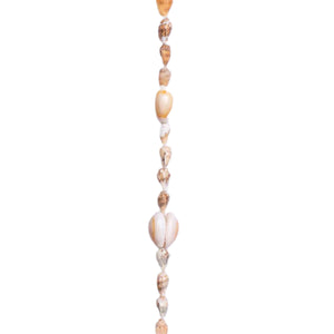 A lei made from natural seashells, featuring pairs of cowrie shells and smaller textured shells in cream, beige, orange, brown, and amber colors.