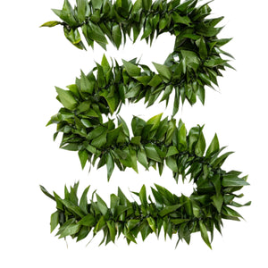 Fresh and lush green ti leaf maile lei displayed on a white background.