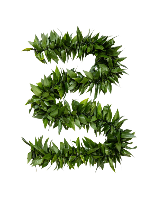 Fresh and lush green ti leaf maile lei displayed on a white background.
