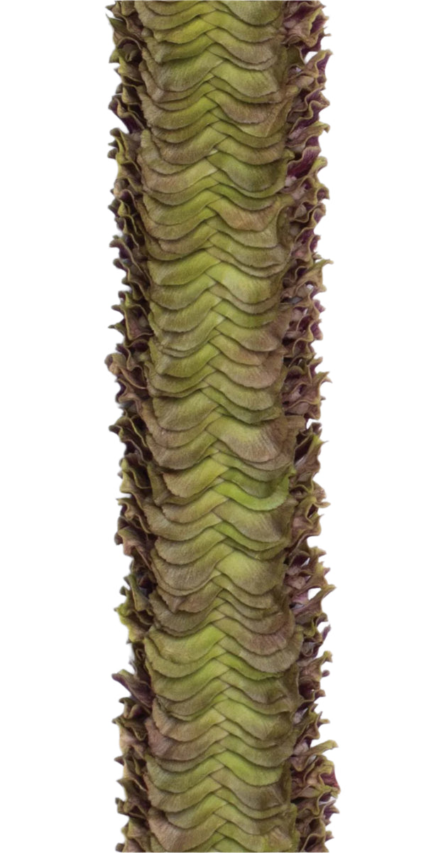 Close-up of a jade premium orchid lei showing the intricate layering of its 900 flat petals, highlighting the texture and detail against a white background.
